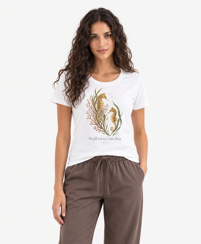 YELSOO women's Small Lives Vast Seas Seahorse Graphic Tee in White — front model view